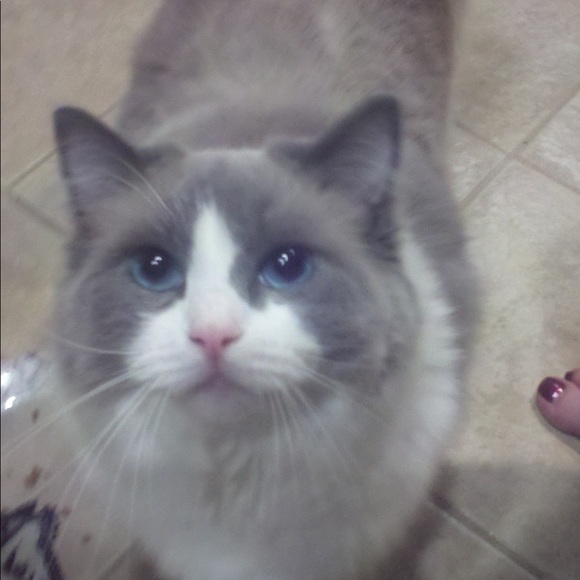 Meet your Posher, Rebecca - Picture 7 of 7